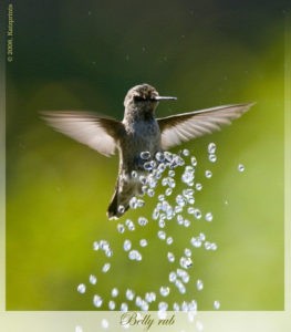 In loving contemplation -Litsa