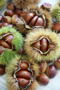 Chestnuts, my Love!